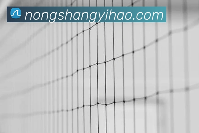 壹号娱乐服务体系