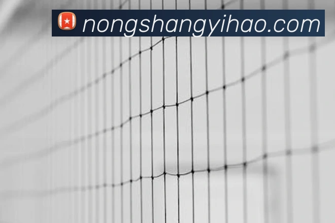 App 示例图